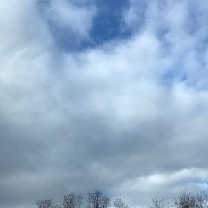 Meet your Posher, Ella